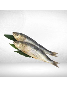 Aranque Sardinas (consultar disponibilidad)